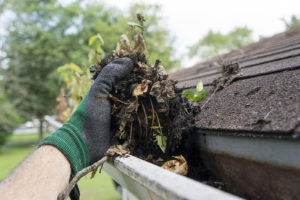 gutter cleaning services for Colorado